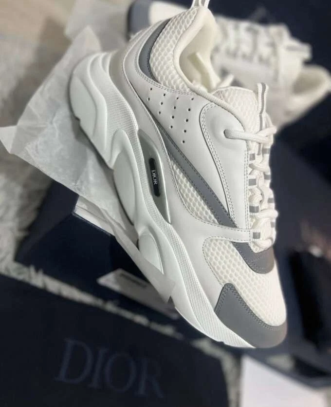 Dior B22