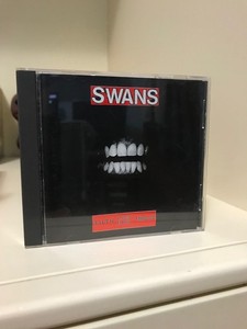 Swans Filth | eBay