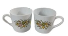 Vintage Centura by Corning  Spice of Life Coffee Cups Set of 2-Pc 1970's