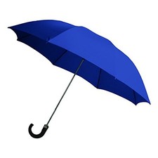 Rainbrella 2-Fold Auto Open Umbrella with Sleeve and Plastic Hook Handle, Blue,