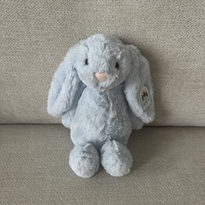 Jellycat Retired Bunny | eBay