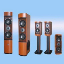 5.1 PROFESSIONAL HOME THEATER