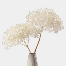 2 PCS Large Flower Heads Dried White Hydrangea Flowers (Length 14" Corolla Si...