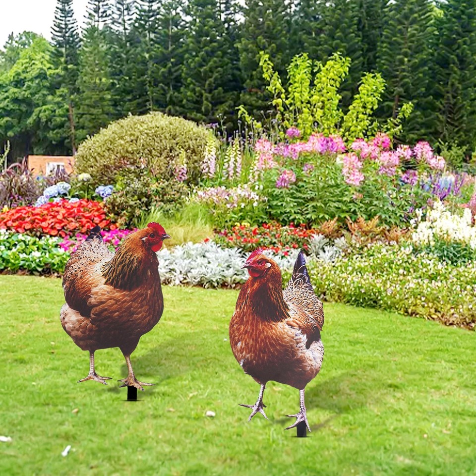 Chic Acrylic Garden Decoration Eye Catching Chicken Sign for Outdoor ...
