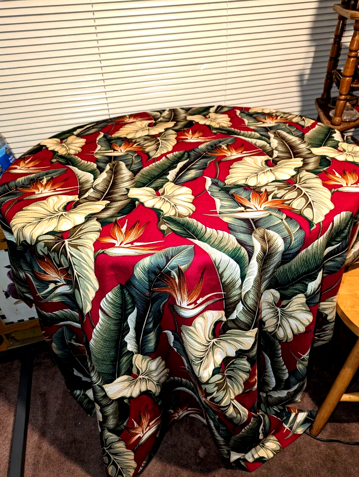 Picture 5 of 24