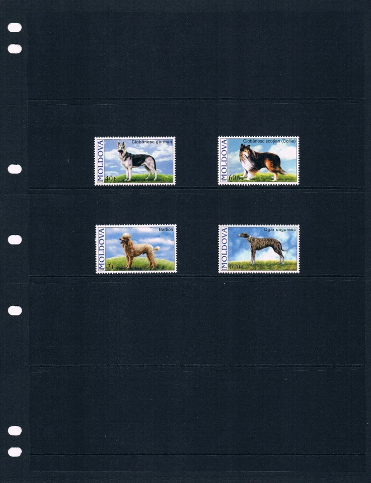 Valor Scott a $4,25 - 2006 Perros Moldova Razas Europeas CV MNH NH UMM Foto 2 de 4