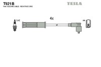 ZüNdleitungssatz Tesla T921B FüR Kangoo Renault KW0 Thalia FW0 1 2 LB17 FW00