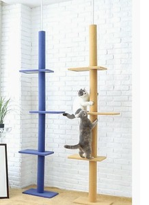 cat climbing structure