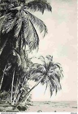Postcard - Gabon - Coastal Cocotiers - New Card - CPM - See