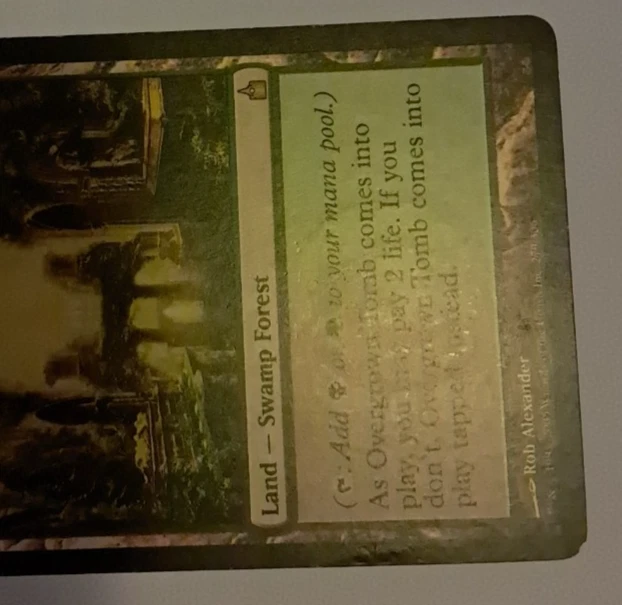 Overgrown Tomb MP/HP Magic the Gathering Ravnica City of Guilds MTG - Image 4 of 4
