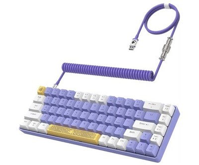 ZIYOU LANG RK-T8 Wired  Mechanical Gaming Keyboard with RGB (Purple)