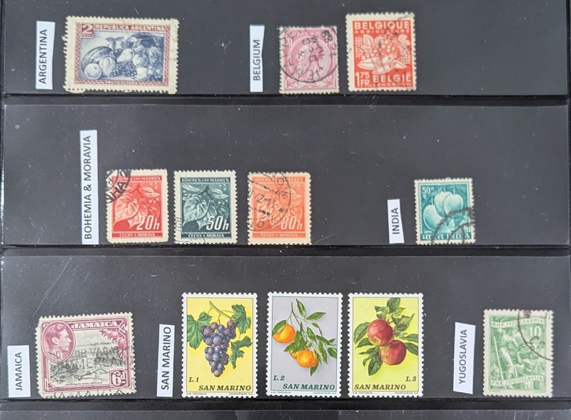 Lot of Worldwide Stamps, with Topic: Fruit!  12 stamps from 7 countries