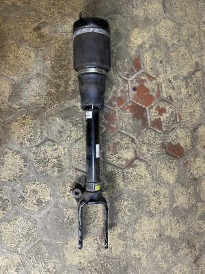 07-12 Mercedes X164 GL450 ML450 GL550 Front Left or Right Air Shock Strut Arnott