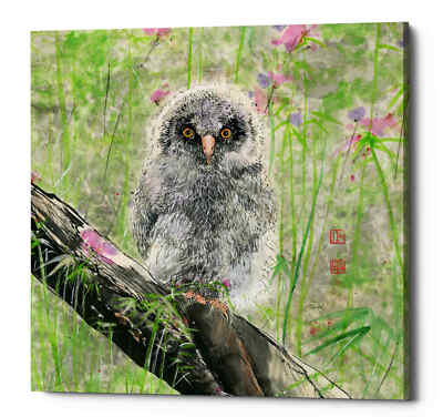 Epic Graffiti 'Owlet' by River Han, Giclee Canvas Wall Art