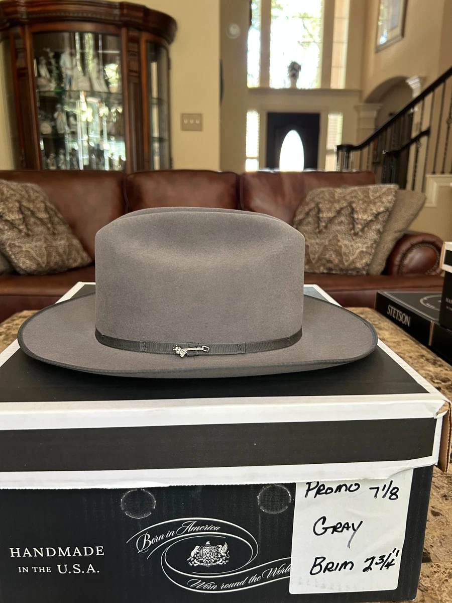 Stetson Fur Gray Hats for Men for sale | eBay