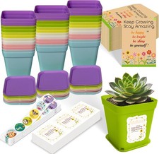 Gifts for Students from Teachers, pack 36 End of Year Class Gifts for 30 Child..