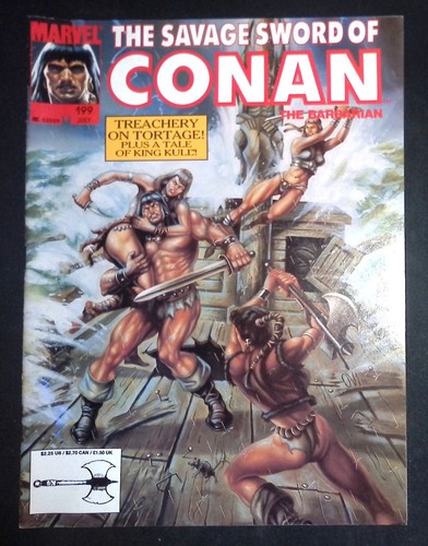 The Savage Sword Of Conan #199 Copper Age Marvel Magazine Group VF