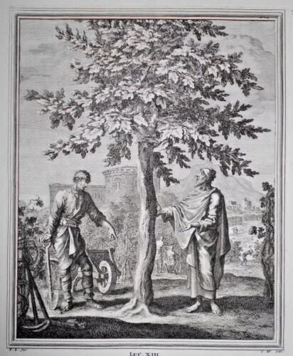 1708 fine large engraving parable of barren fig tree gospel of Luke christianity