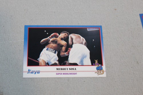 1991 Kayo Boxing Card Complete Finish Fill Your List Set U-Pick - Picture 11 of 468