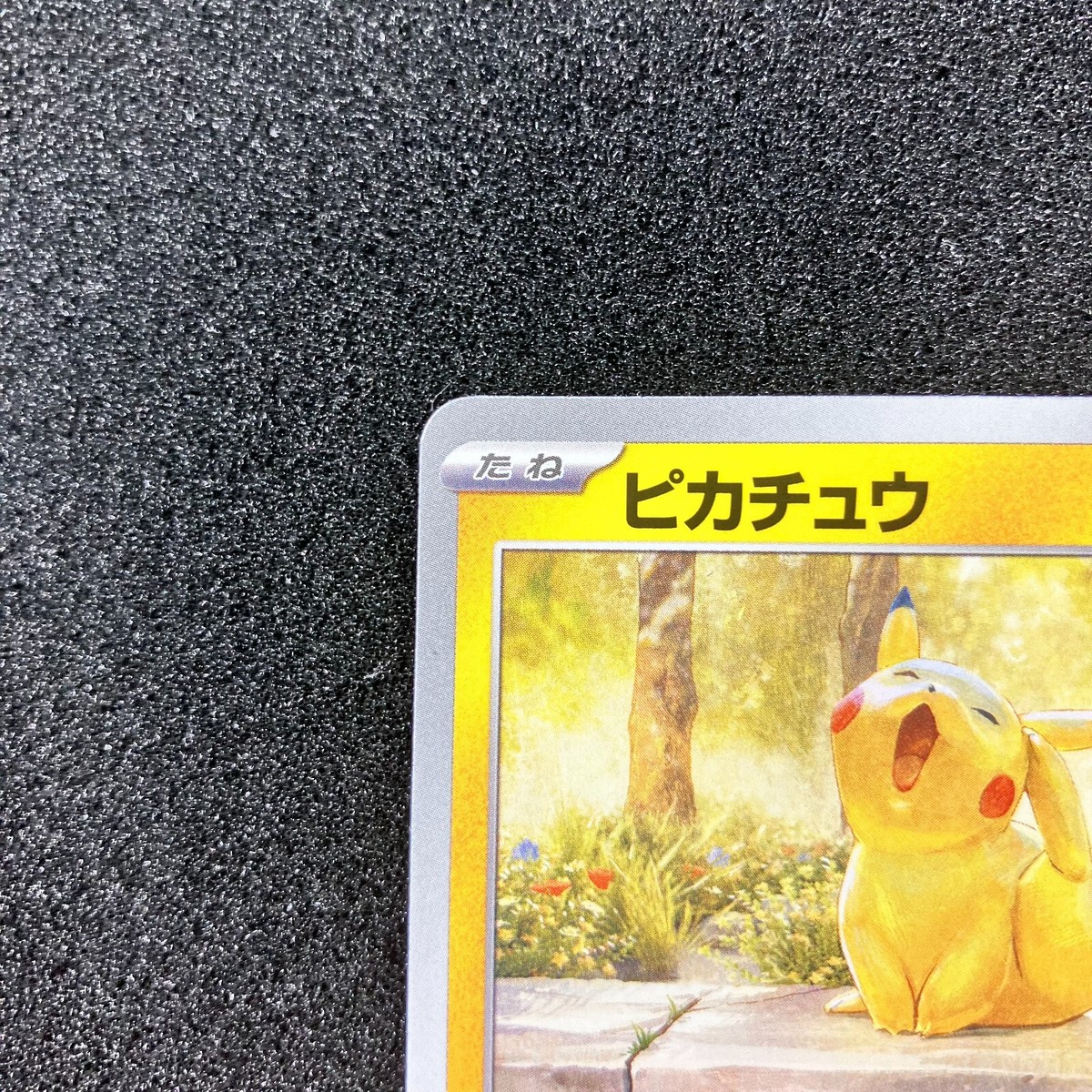 Pikachu PROMO 242/SV-P - Illustration Contest 2024 Promo Pokemon