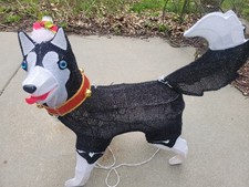 Lighted Christmas Husky Dog w/ Santa Hat Outd...