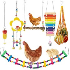 Interactive Chicken Coop Accessories - Swing, Mirror, Feeder