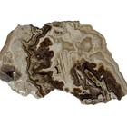 LARGE UTAH ROOT BEER ONYX SLAB ~421gr/0.93lb /rough agate jasper cab brown cream — photo 5