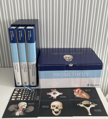 Prometheus Atlanten 6. Auflage Anatomie Thieme - Medizin