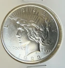 1923 USA Peace Dollar 90% Silver - KM 150 - Unrated/Uncertified  AU