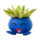 Oddish Pokemon Planter Pot 4" - Anime Succulent Plant Flowerpot | Anime Gift