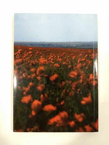 Encontros da Imagem 2002 Margens Da Solidao / First Edition - Picture 2 of 5