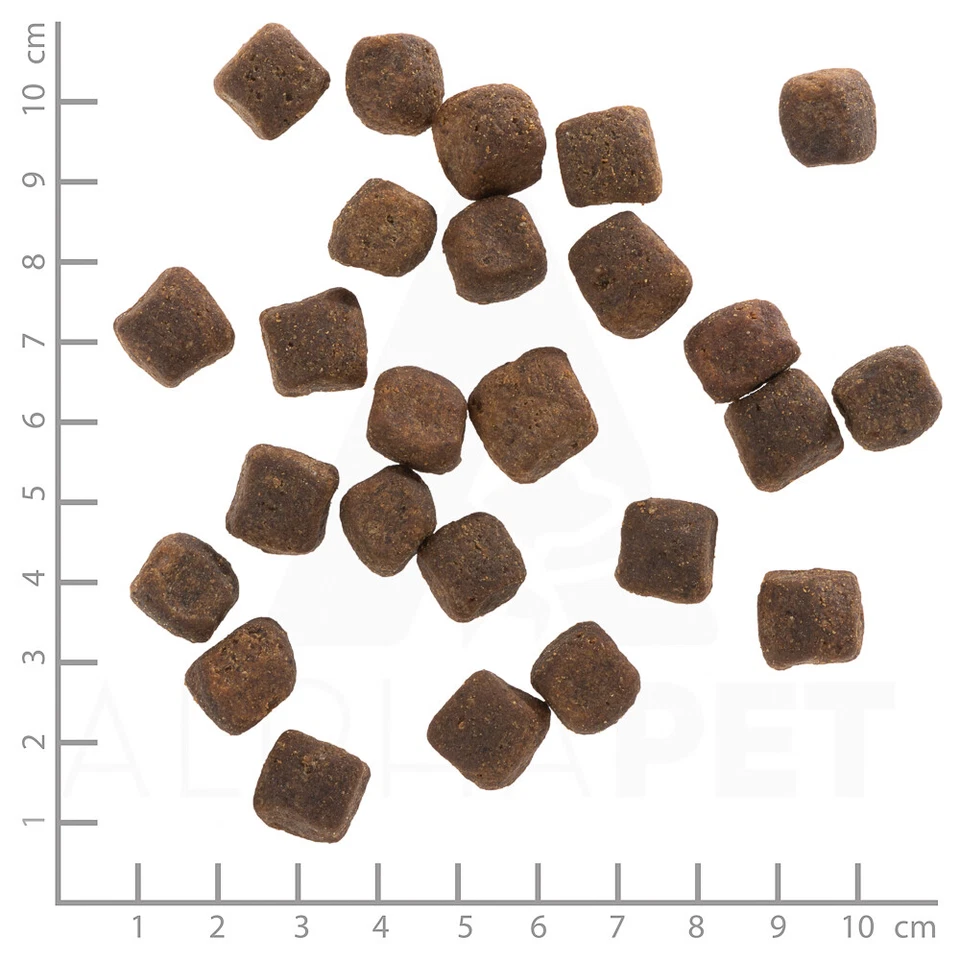 Wolfsblut - Dark Forest Adult - 2 kg - Hundefutter - Bild 4 von 4