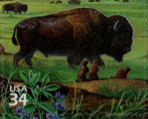 USA 2001 NATURE OF AMERICA, GREAT PLAINS PRAIRIE, 3rd SERIES, SCOTT 3506 MNH - Picture 7 of 13