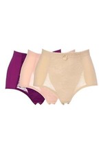 Rhonda Shear Women's 3-pack Classic Pin-Up Brief Pink/Lt Beige/Purple