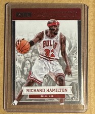 2012-13 Panini All-Panini Richard Hamilton #72