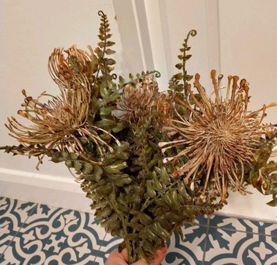 Abigail Ahern Leucospermum Kunstpflanze Kunstblume Stängelstrauß