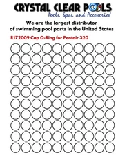 100PC R172009 Cap O-Ring VITON for Pentair 320, 322, 300-29X Pool/Spa Feeder