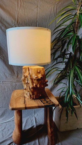 Handmade Yew Tree Stump Rustic Beautiful Lamp - Picture 4 of 10