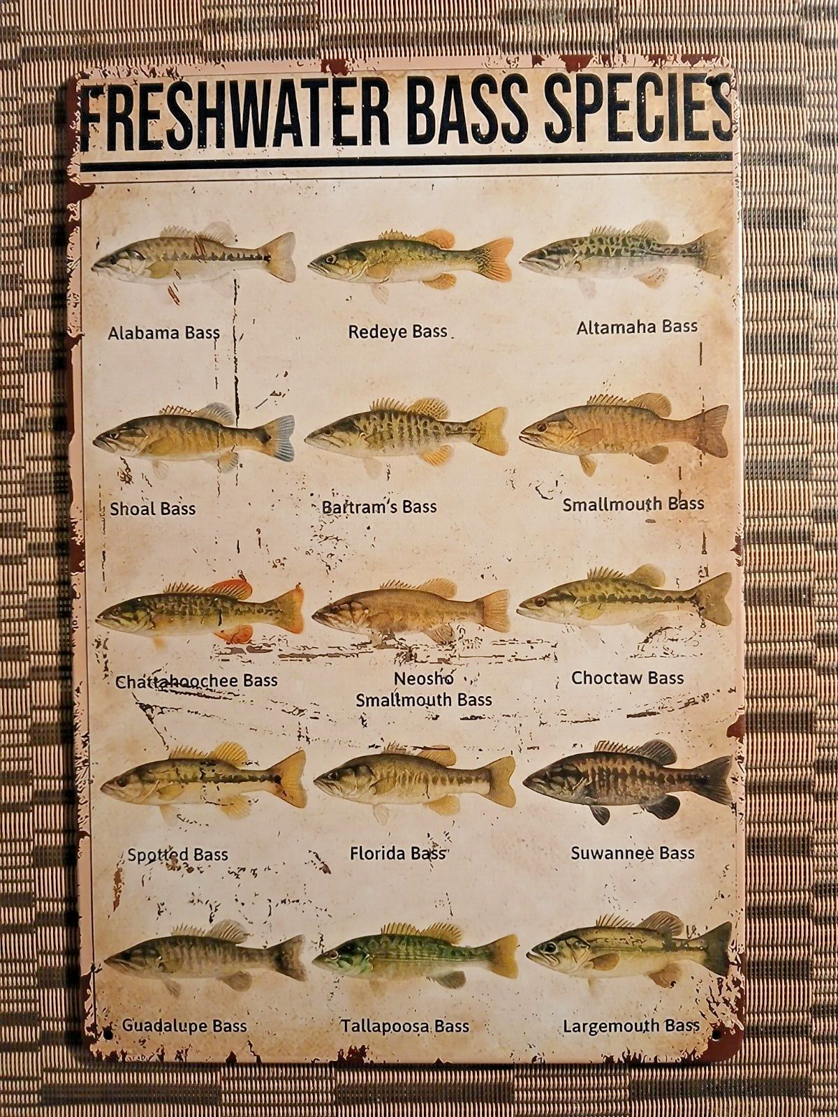 Tin/Metal Sign/Poster Fresh Water Bass Species
