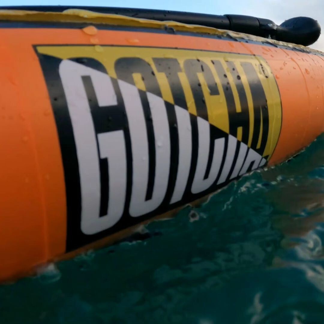 isup paddle board eBay