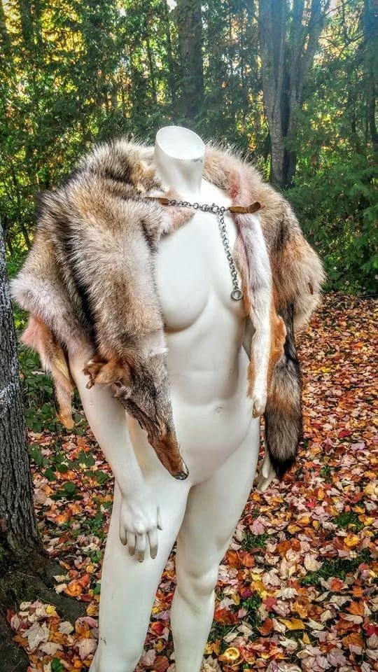 Coyote Fur Pelt Shoulder Mantle Cape Cloak Game Of Thrones Viking Costume - Image 3 of 4