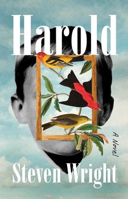 Harold von Steven Wright (Englisch) Hardcover Buch