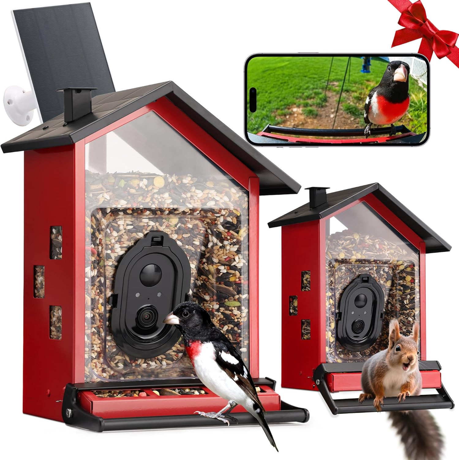 Smart Bird Feeder with Camera Solar Powered Squirrels-Proof, AI Identify Bird Sp