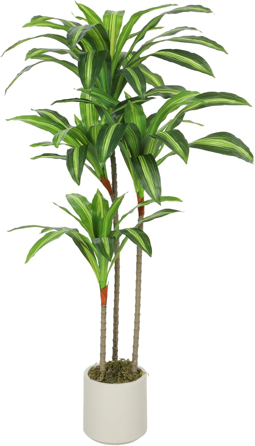 Dracena Artificiale con Vaso Bianco | Pianta Finta Interno Alta Qualità