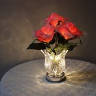 Bild 19 von 23