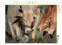 Calvendo Puzzle Pygmy Zebu With Calf | 1000 Pieces, Finished Size 25.2 × 18.9 In