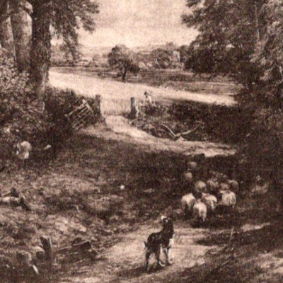 Antique UDB Postcard The Cornfield John Constable National Gallery London c1903
