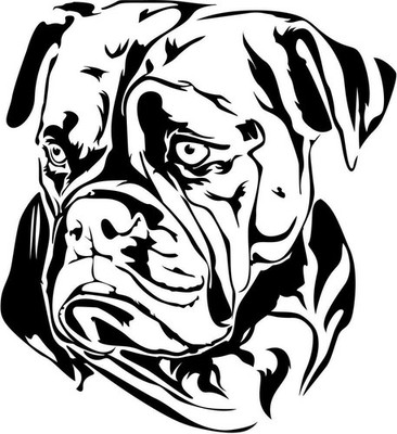 OLD ENGLISH BULLDOG Aufkleber - Autoaufkleber - Old English Bulldog Kopf #37