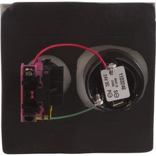 Pentair Shut Off Switch with Alarm Double Plate (ESO2)