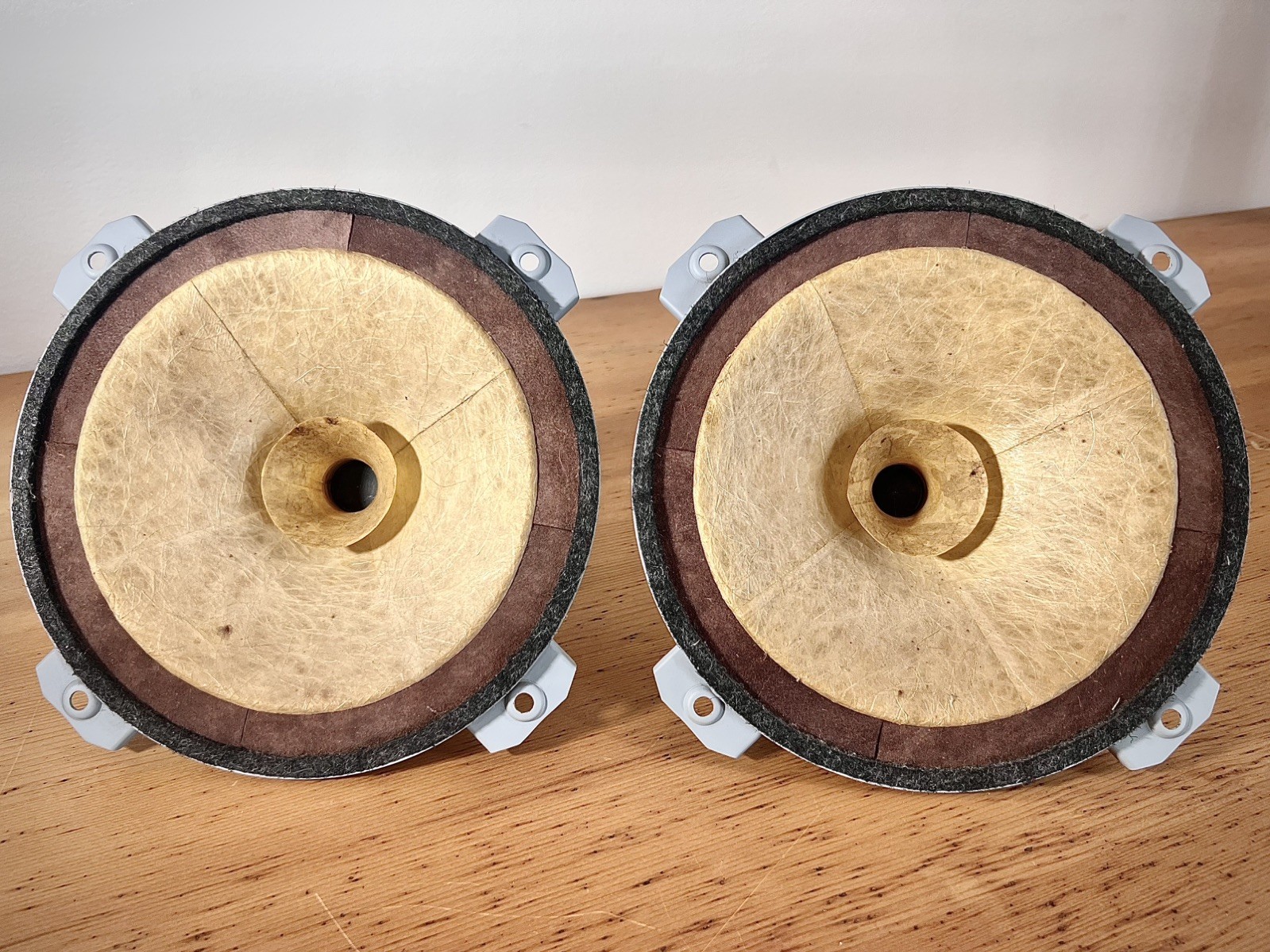 Atelier Rullit “AERO 10” full range (Aero 10 Field Coil drivers)